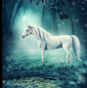 Meet your Posher, Unicorn